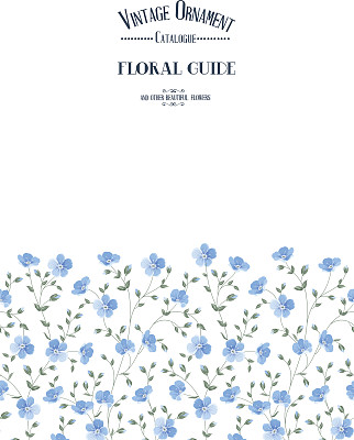 邀请背景。图片下载