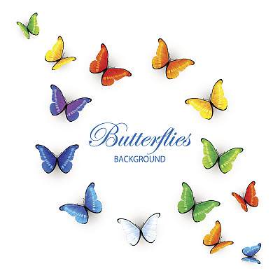 五彩缤纷的蝴蝶背景图片下载