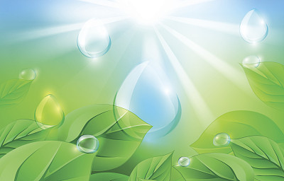 叶子和滴图片下载