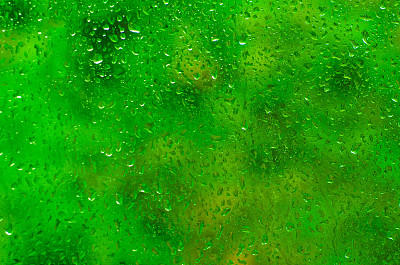 多雨潮湿的背景图片下载