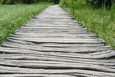 水上的木制徒步小径或小径图片下载