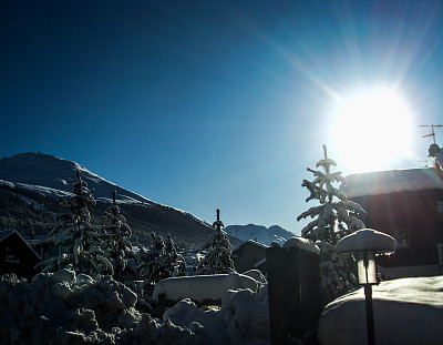 唯一在inverno图片下载