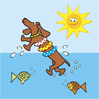 浮动的狗。图片下载