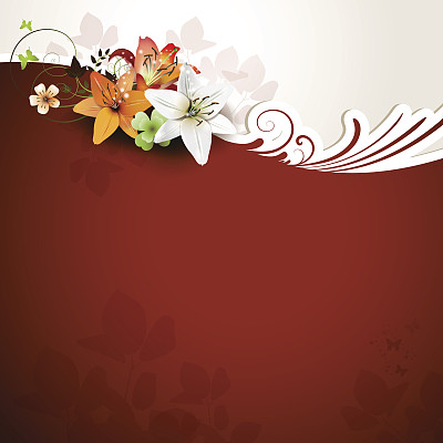 红色背景配百合花图片下载