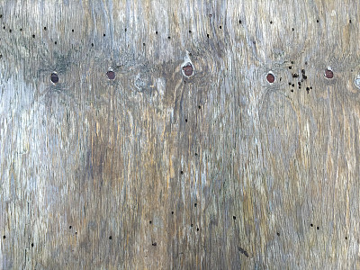 木材纹理图片下载