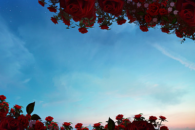 背景与心图片下载