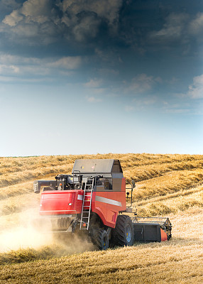 收获大豆田图片下载