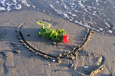 心和玫瑰在海滩上图片下载