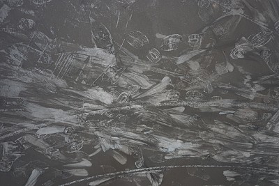 灰尘足迹图片下载