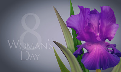 美丽的贺卡，海报与紫罗兰蝴蝶花为妇女节。图片下载