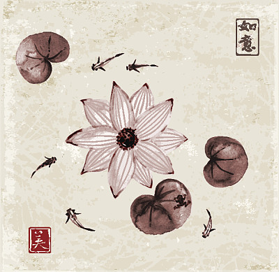 荷花和池塘里的小鱼素材图片