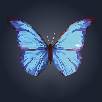 抽象的蓝色蝴蝶在深蓝色的背景图片下载