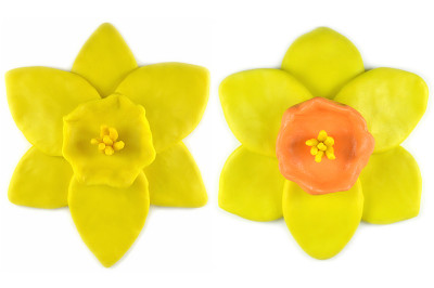 橡皮泥水仙花图片下载