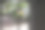 城里的私人后院图片下载