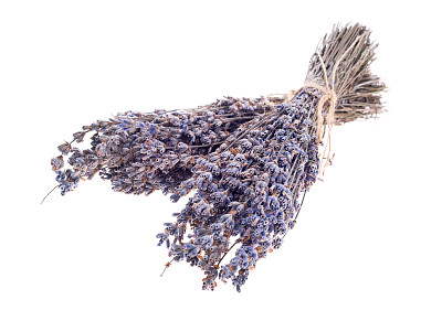 干薰衣草束孤立在白色背景上图片下载