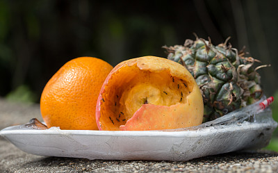 腐烂的苹果，秋天，发霉的水果图片下载