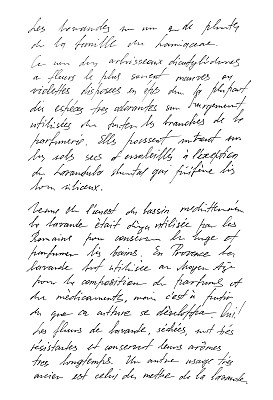 定义文本的法国。手写的信。笔迹图片下载