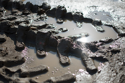 泥地上的轮胎痕迹图片下载