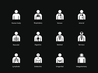 人体系统，消化，动脉，静脉图标黑色图片下载