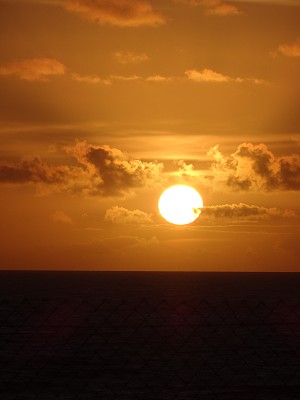 不讲道理的图片下载