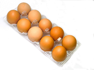 鸡蛋在白色图片下载