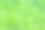 新鲜的绿叶。绿色背景与树叶。图片下载