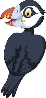 可爱的大西洋海雀卡通图片下载