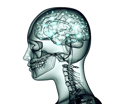 人头大脑电脉冲X光图像图片下载