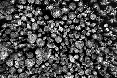 减少森林图片下载