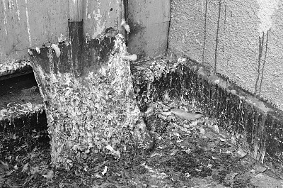 又旧又脏的铲子图片下载