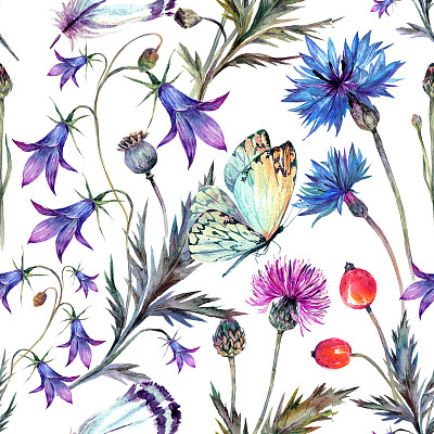 夏季野花的复古水彩图案。素材图片