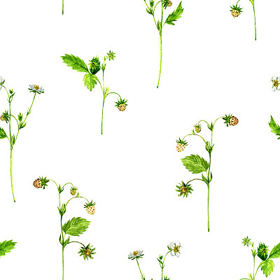 无缝图案与水彩画草莓植物图片下载