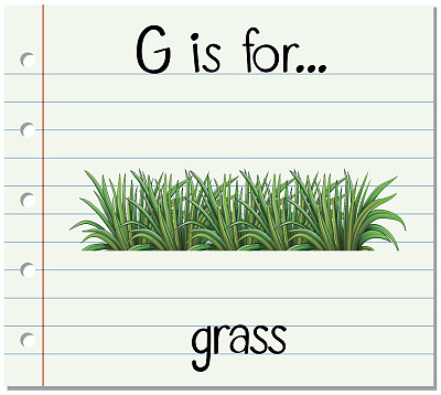 卡片上的字母G代表草图片下载