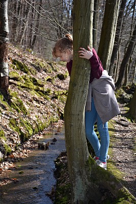 树上的女孩看着小溪图片下载