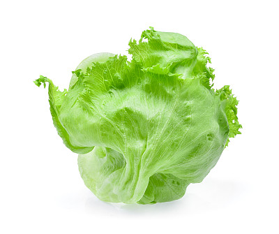 白色背景上孤立的绿色卷心莴苣图片下载