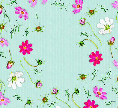 宇宙的花图片下载