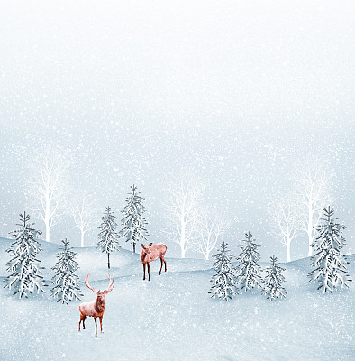 冷杉和鹿的照片拼贴画。图片下载