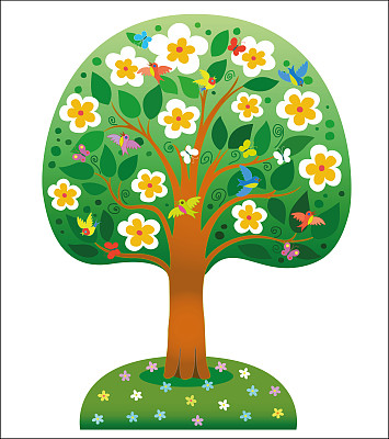 美丽的开花树孤立在白色的背景。图片下载