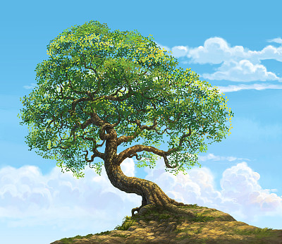 山上大树天天空插图图片下载