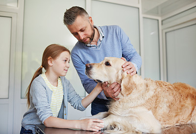 爱狗主人图片下载