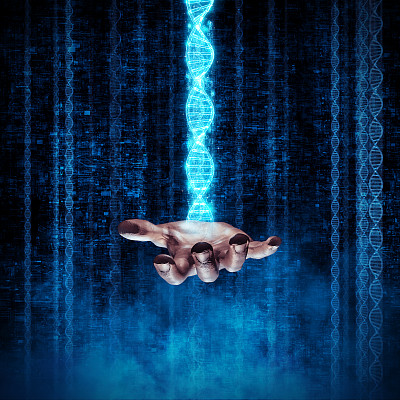 掌握人类进化图片下载