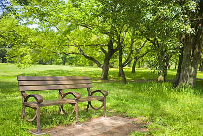 公园的长椅上图片下载