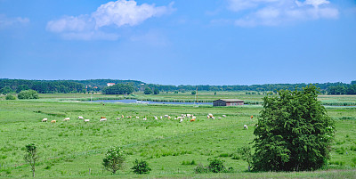 在德国波罗的海乌塞多姆洛丁附近的阿赫特瓦瑟图片下载