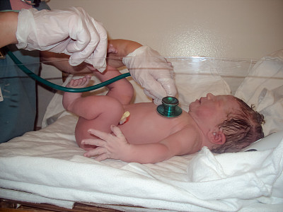 新born2图片下载