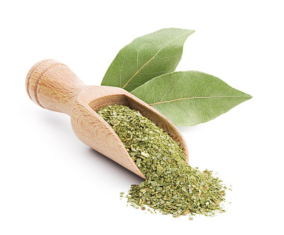 月桂叶孤立在白色上图片下载