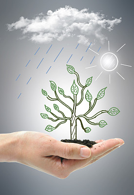 树木生长的概念图片下载