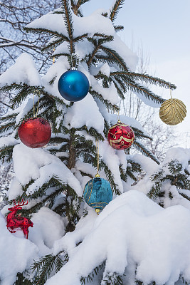 圣诞树在户外图片下载