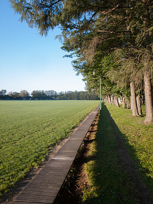 绿丘公园图片下载