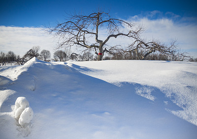 冬天的风景图片下载