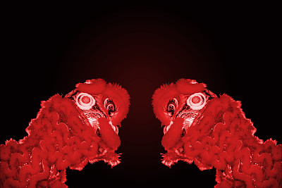 在中国新年庆祝活动中，舞狮图片下载